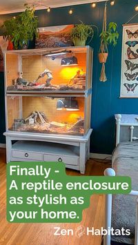 Shop now to get 10% off your next enclosure upgrade. Reptiles thrive in Zen Habitats enclosures. Versatile reptile enclosures suitable for a wide range of different species that also look great in your home.