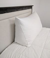 Pillowtex® Reading Wedge Bed Pillow - Pillows.com