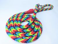 Neon Rainbow Dog Leash! Heavy duty handmade paracord dog leash with heavy duty metal snap hook.