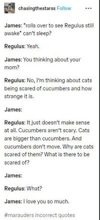 #jamespotter #regulusblack #jegulus #marauders #remuslupin #siriusblack #wolfstar sirius/james, rose