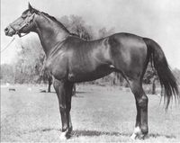 Rough'n Tumble. Sire of Dr Fager