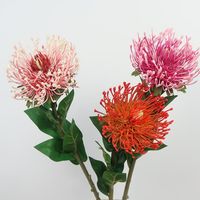 3pcs Pincushion protea flower,Pincushion protea,faux leucospermum,tropical flowers, needle protea, faux protea, fake proteaUsage: Indoor & outdoor decorations, wedding project, home decoration, Bride shower ,Boho wedding / rustic wedding decoration ,birthday party ,etc .Items Specification:Total length : 73cm/ 28.7inchesFlowers head :12cm/ 4.7inches* Kindly know the stems may be bend during its long time shipping and you can tidy it up when you receive them ,hope you don't mind about this ,t