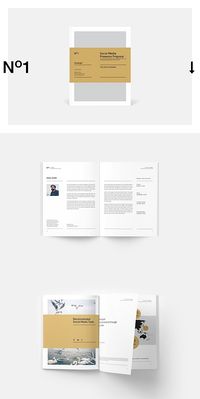 Social Media Proposal Template #proposal #brochure #template #indesign #brochuretemplate #templates