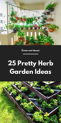 25 Pretty Herb Garden Ideas | Green and Vibrant