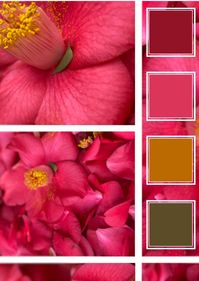 Here is a color palette to help you decide on your Spring wedding colors. | Wedding color schemes | Wedding theme | Wedding theme ideas | Wedding colors | Wedding color inspiration | Wedding color ideas | Spring Color Palette |