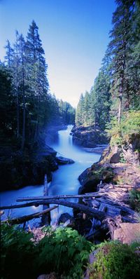 Silver Falls Trail - Mount Rainier National Park, Washington