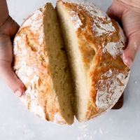 Easy Crusty French Bread - This easy no knead dutch oven bread recipe is sure to be a hit! Ready quickly in just a few hours - no overnight rising necessary and no bread machine needed. Baked in a dutch oven for a crispy crust on the outside and soft, airy homemade bread on the inside! Will be one of your favorite quick bread recipes in no time! #bread #baking