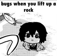 -Osamu Dazai | Bungou stray dogs / Bsd wan
-Bugs when you lift up a rock