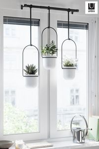 Umbra TRIFLORA PLANTER hangs beautifully by your window to elevate your plants and add a unique greenery display to your space.