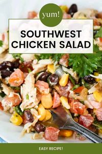 Make a batch of this Southwest Chicken Salad for a zesty and protein-packed dish! Thanks to lightened up ingredients, this is a completely guilt-free recipe that can be enjoyed for lunch, dinner, or as a hearty snack. Best of all, it’s SO easy to make and comes together in minutes! You won’t even need to turn on the stove or fire up the microwave to make this incredible southwestern chicken salad.