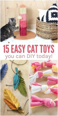 Spoil your favorite feline with a few of these easy DIY cat toys. You don't have to be super crafty -- you can find something to make for your cat TODAY! via @leviandrachel