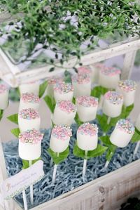 Marshmallow Fairy Pop Plants from a Magical Secret Garden Birthday Party via Kara's Party Ideas | KarasPartyIdeas.com (9)