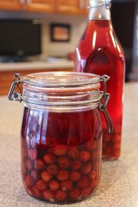 Ohio Thoughts: Cherry Brandy (Visinata)