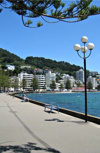 Oriental Bay, Wellington, NZ