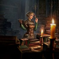 Half Elf Wizard Librarian by Robes Magic on Books Library Scrolls 149x149mm