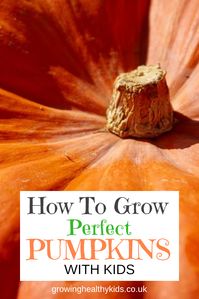 Growing Pumpkins with your kids, An easy garden activity with gardening help, grow your own advice