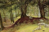 Richard Redgrave (1804-1888): Parkhurst Woods, Abinger, Surrey, Victoria & Albert Museum, London