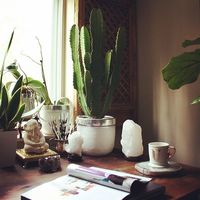 homeoffice, cactus, healingcrystals - apartmentf15