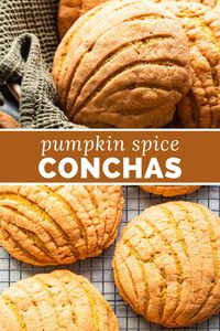 These pumpkin conchas are a seasonal twist on a traditional pan dulce! Made with pumpkin puree and nutmeg, cinnamon, and pumpkin pie spice.