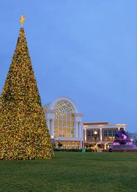 outdoor christmas | christmas | christmas decoration | christmas tree | college campus | high point university