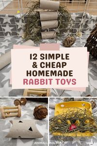 Are you looking for new ideas to keep you pet rabbit entertained and occupied during the day? Here are 12 simple and cheap rabbit toy ideas you can easily make yourself at home!