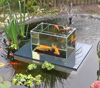 Floating Fish Koi Pond Observatory Lets You View Your Fish Above The Water Line