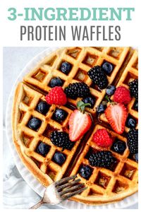 3-ingredient protein waffles make for a great healthy protein-packed breakfast for the whole family! Made in the blender with cottage cheese, oats and eggs, these tasty waffles couldn’t be easier to whip together. Perfect for weekly meal prep! {Gluten-free-friendly & vegetarian}