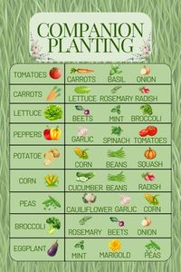 Quick chart I put together to help keep things straight. Hopefully! #GardenInspiration #GardenDesign #BackyardGarden #FlowerGarden #SustainableGardening