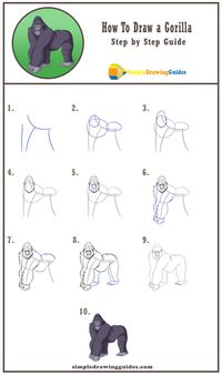 How To Draw a Gorilla Step by Step Guide