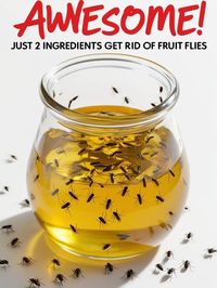 Homemade Fruit Fly Trap- best diy fruit fly trap to make at home. Few ingredients to catch a bunch! Fruit fly killer recipe