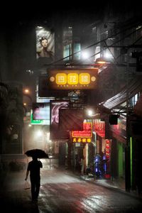 Night Lights by Christophe Jacrot: Discover museum-quality art photography