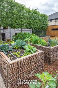 Langs de woning loop een brede oprit in duurzame kleiklinkers. Langszij houden betonnen keerwanden het hoogteverschil met de buren in stand. Achter de woning ligt een eigentijdse tuin met breed gazon, tuinserre, moestuinbakken en kippenren.