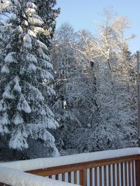 Winter Snow in Seattle