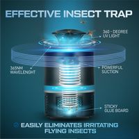 Flyminator Fruit Fly Insect Trap