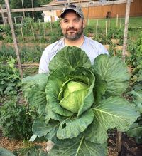 planting onions to save your cabbage