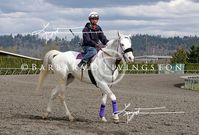 stallion | USA | 2001 | by Airdrie Apache out of Ms Dubious #thoroughbred #stallion #dominantwhite #colouredthoroughbred #whitethoroughbred