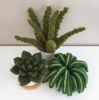 Ravelry: Mini Houseplant Trio pattern by Emily Kintigh