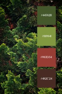 Brown and Green Color Palette: Dense greenery with a backdrop of brown bark, showcasing the vibrant hues of the leaves. The interplay of green and brown creates a deep, forest-like ambiance.