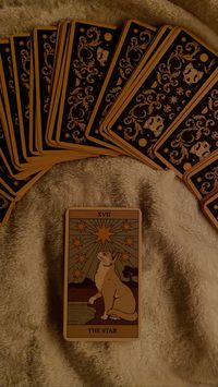 #tarot #cat #manifestation #tarotreading #aesthetic #spiritual #spirituality #cards