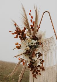 hurricane ridge elopement olympic national park wedding