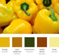 #pale yellow color schemes #blue and yellow color schemes #grey and yellow paint scheme what color goes with yellow #off white color scheme #green yellow color scheme #brown and blue color scheme #blue grey yellow color scheme