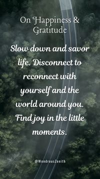 Inspirational Quote On Happiness & Gratitude - "Slow down and savor life. Disconnect to reconnect with yourself and the world around you. Find joy in the little moments."