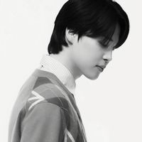 jimin dior icon