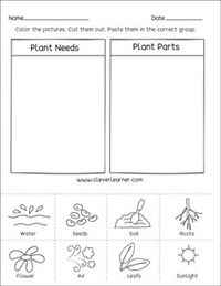 What plants need to grow well preschool printable