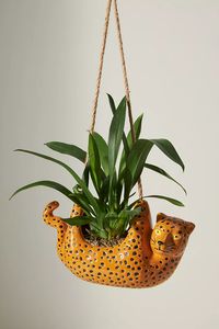 Cheetah Hanging Planter | Anthropologie