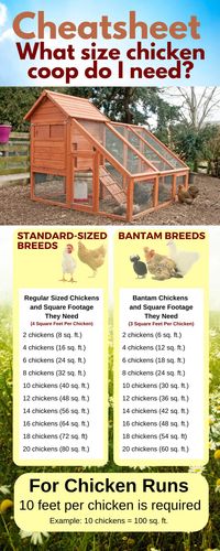 FREE 5×8 A-Frame Chicken Coop Plan - Free Chicken Coop Plans