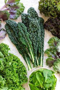 Kale 101: Health Benefits & Types - Jessica Gavin