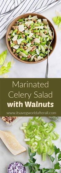 Enjoy the delicious flavors of celery in this marinated celery salad, made with red wine vinegar, parmesan cheese, and walnuts. It's easy to prepare, makes a great side dish for holiday meals, and can be made in advance!