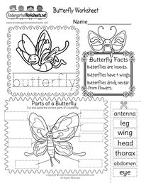 Parts of a Butterfly Worksheet for Kids - Cut and Paste Activity