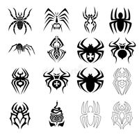 Vector set of spider symbols vector illustration